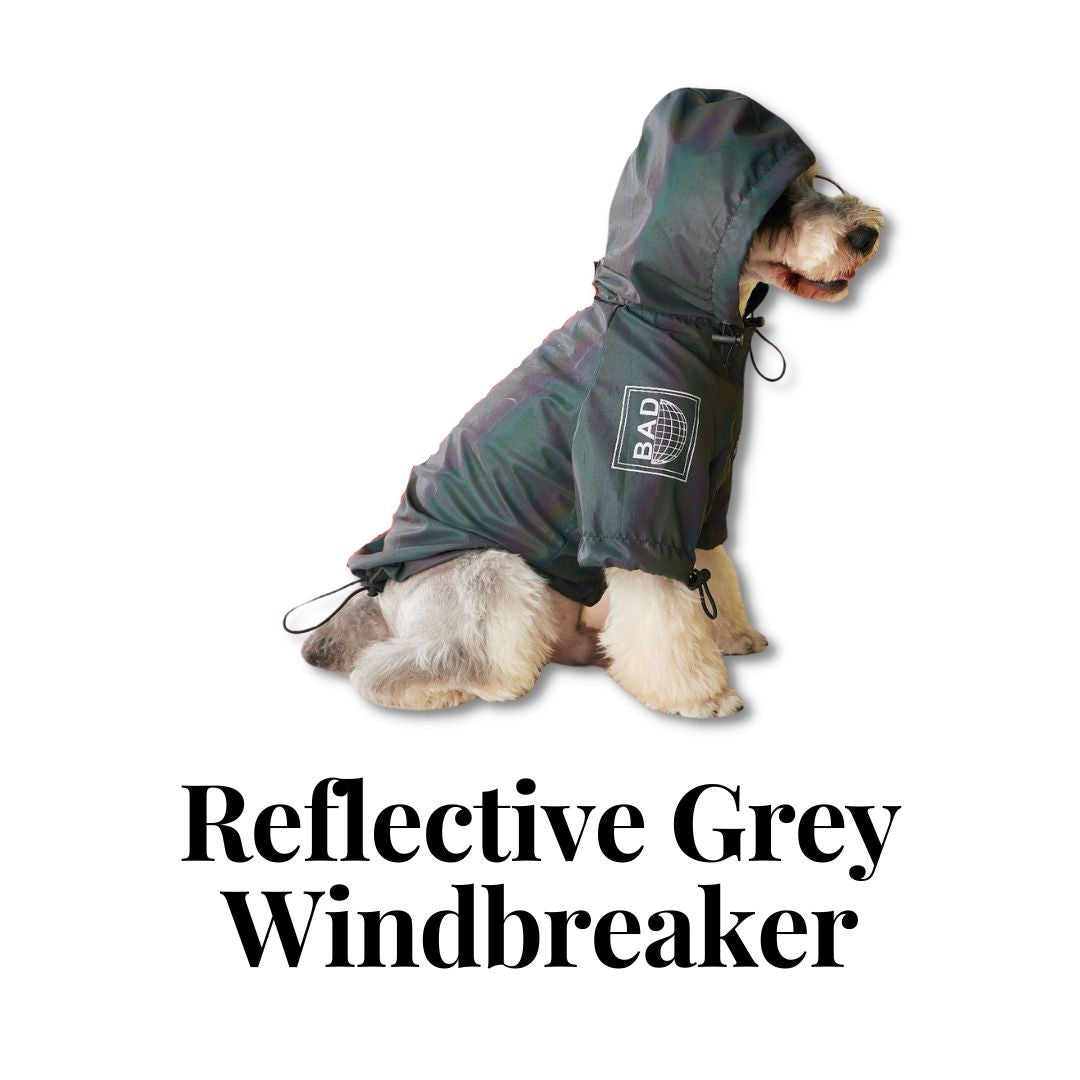 Reflective Grey Windbreaker