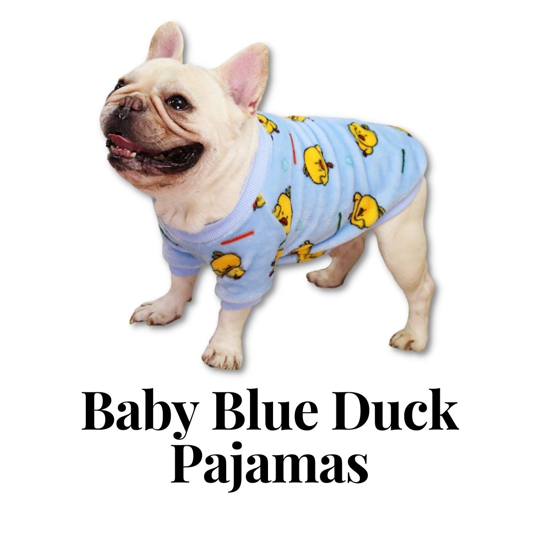 Dog in duck store pajamas