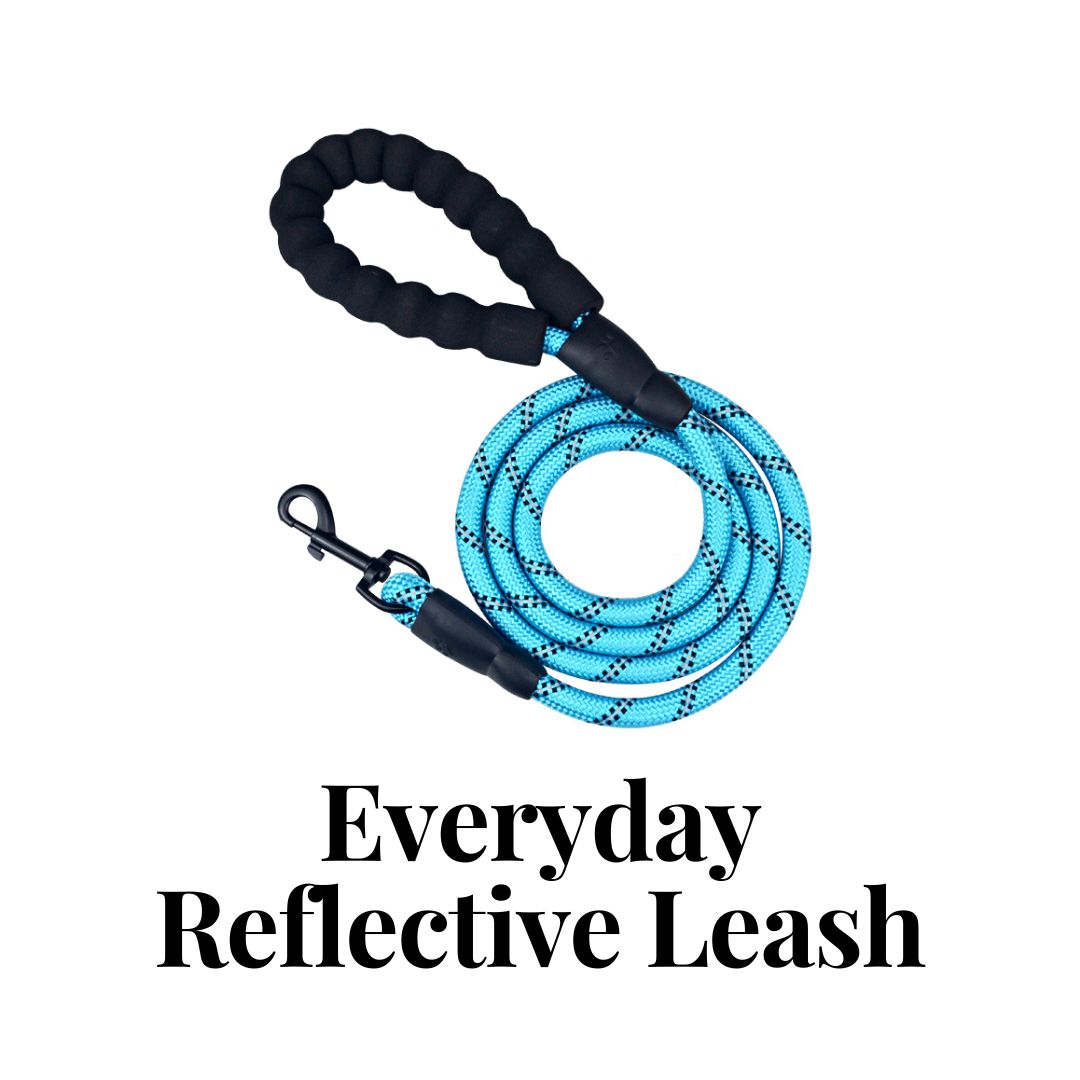 Everyday Reflective Leash