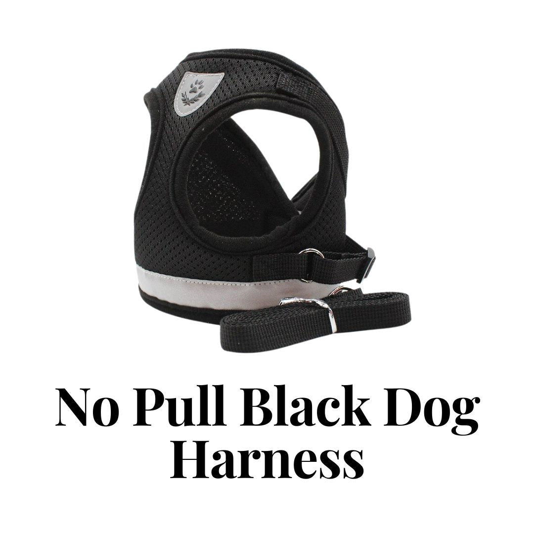 No Pull Black Dog Harness