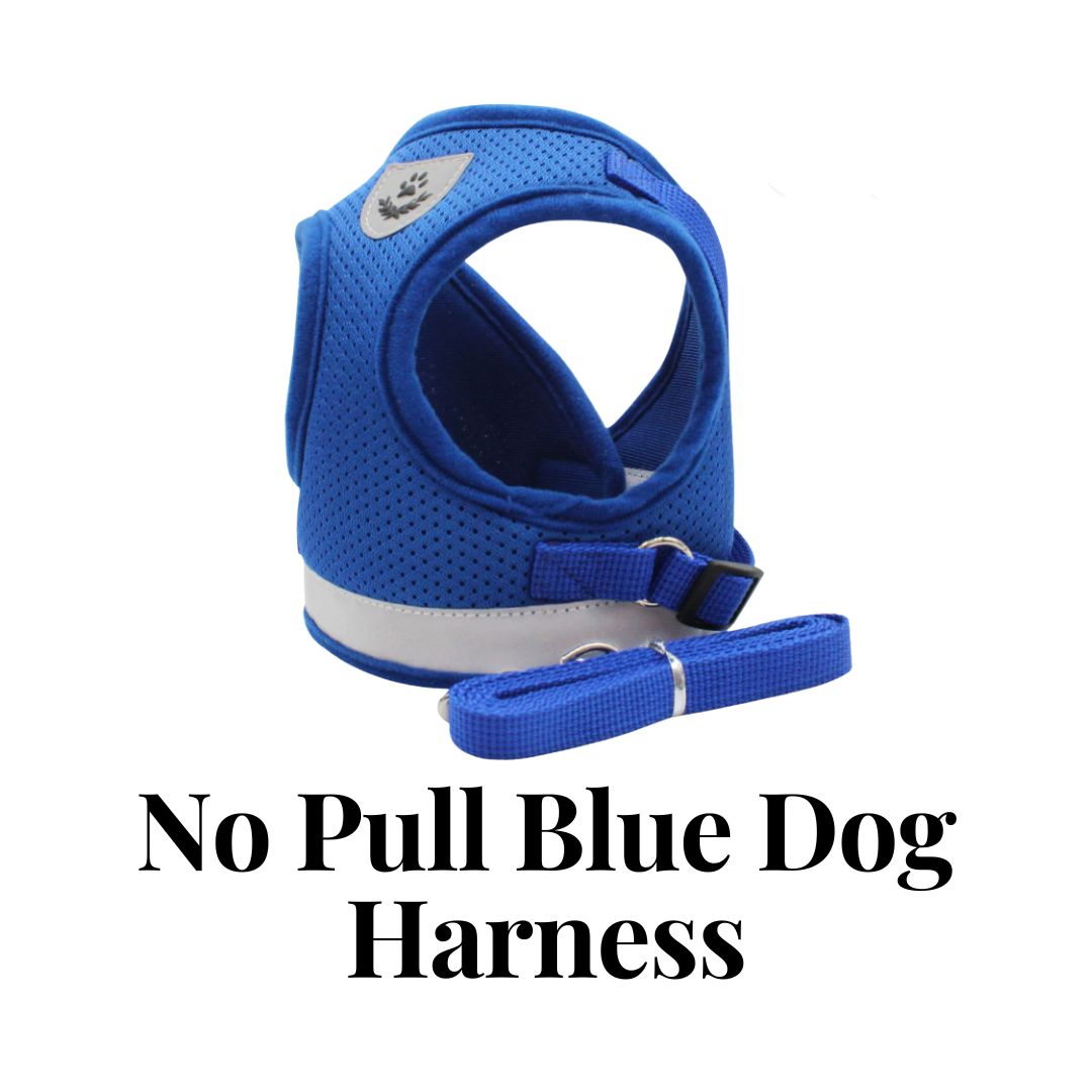 No Pull Blue Dog Harness