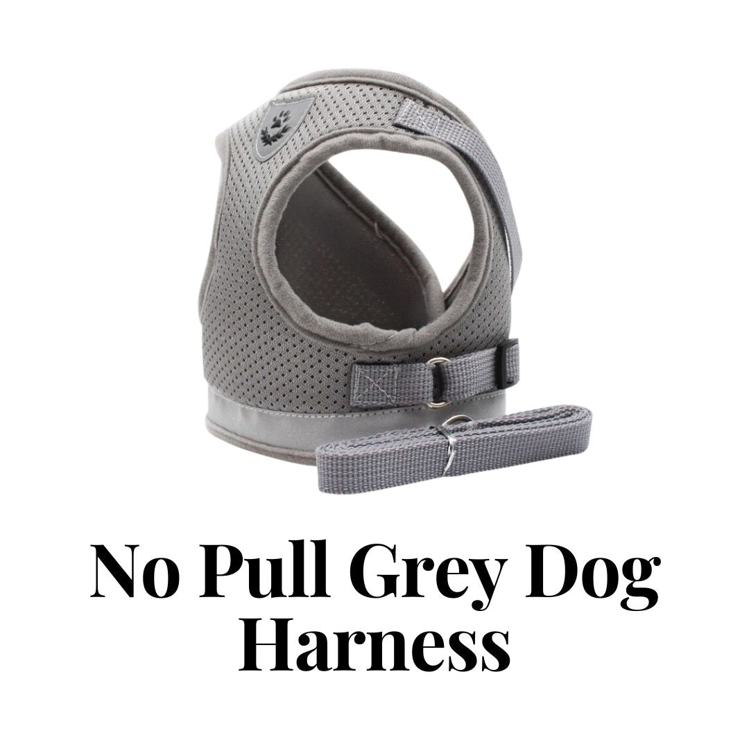 No Pull Grey Dog Harness