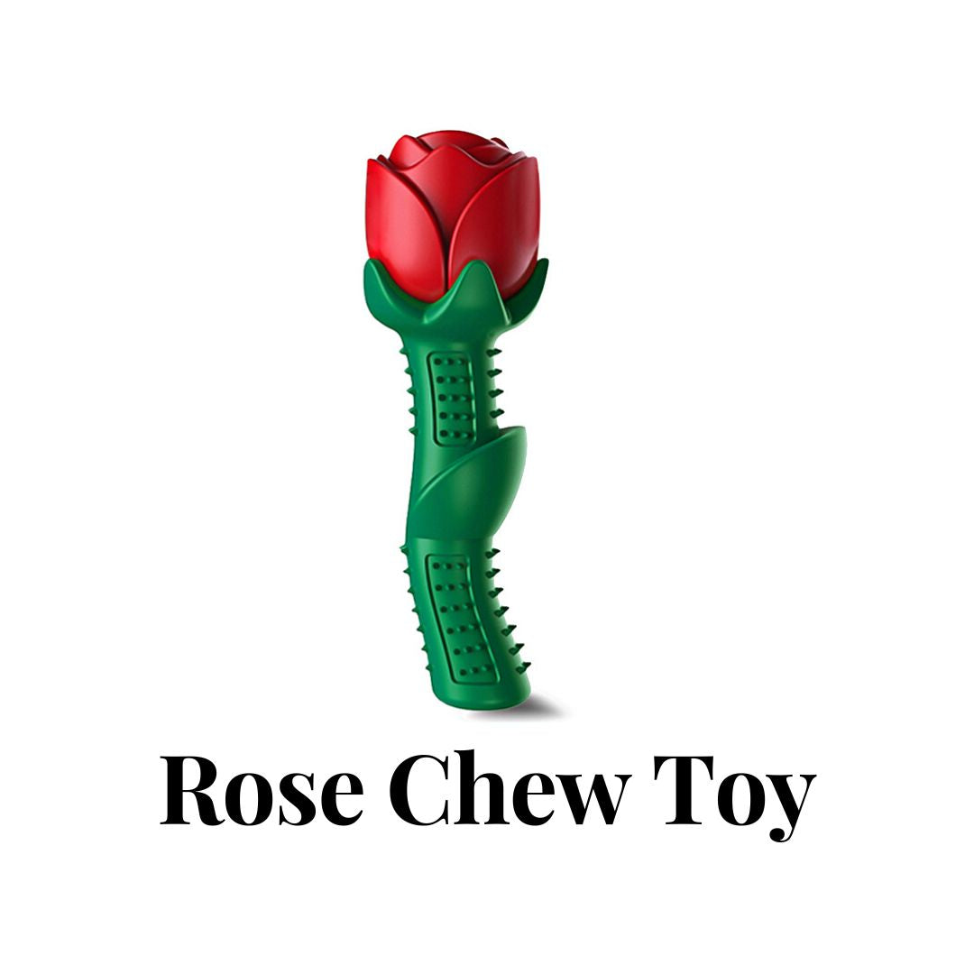 Rose Chew Toy Rose Chew Toy