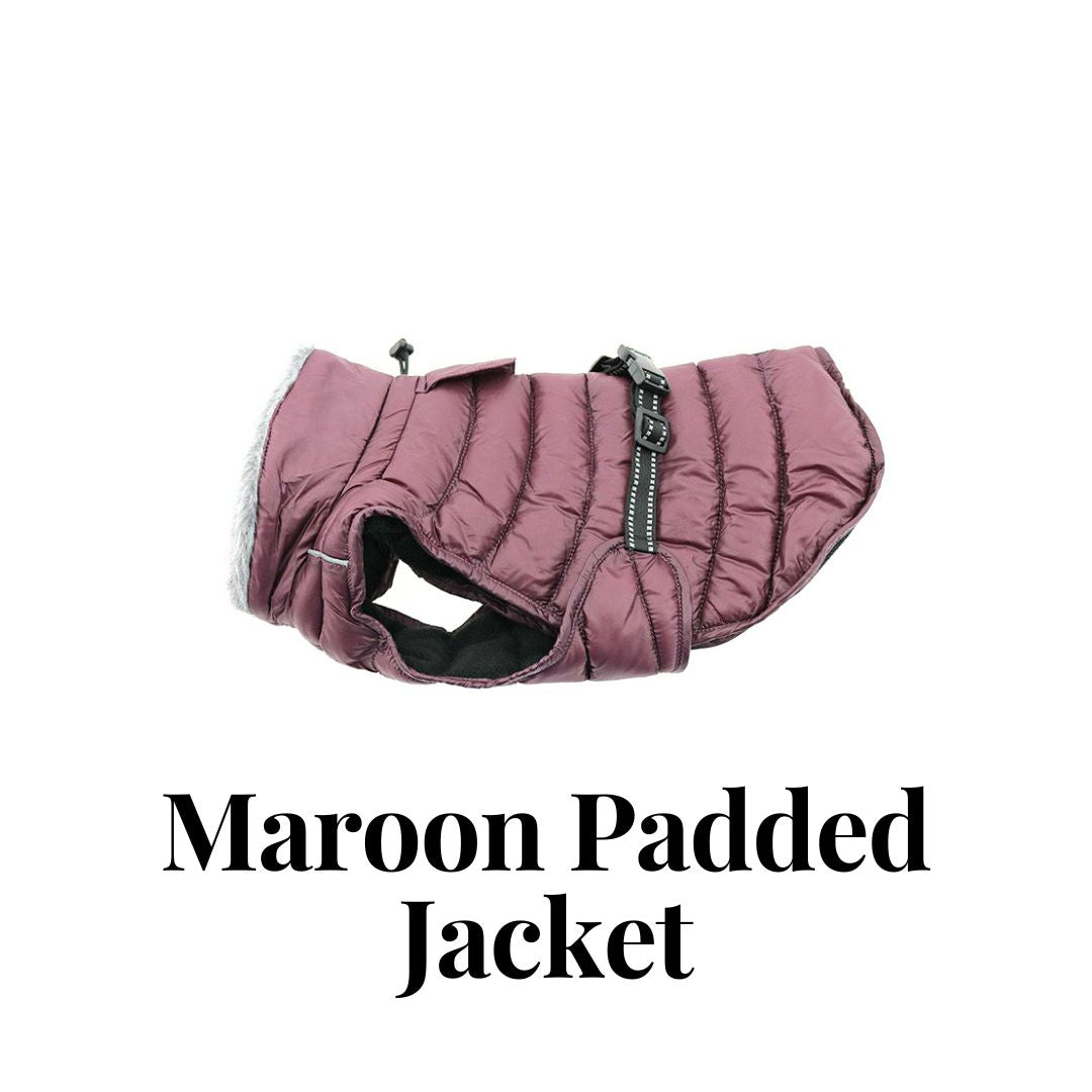 Maroon Padded Jacket