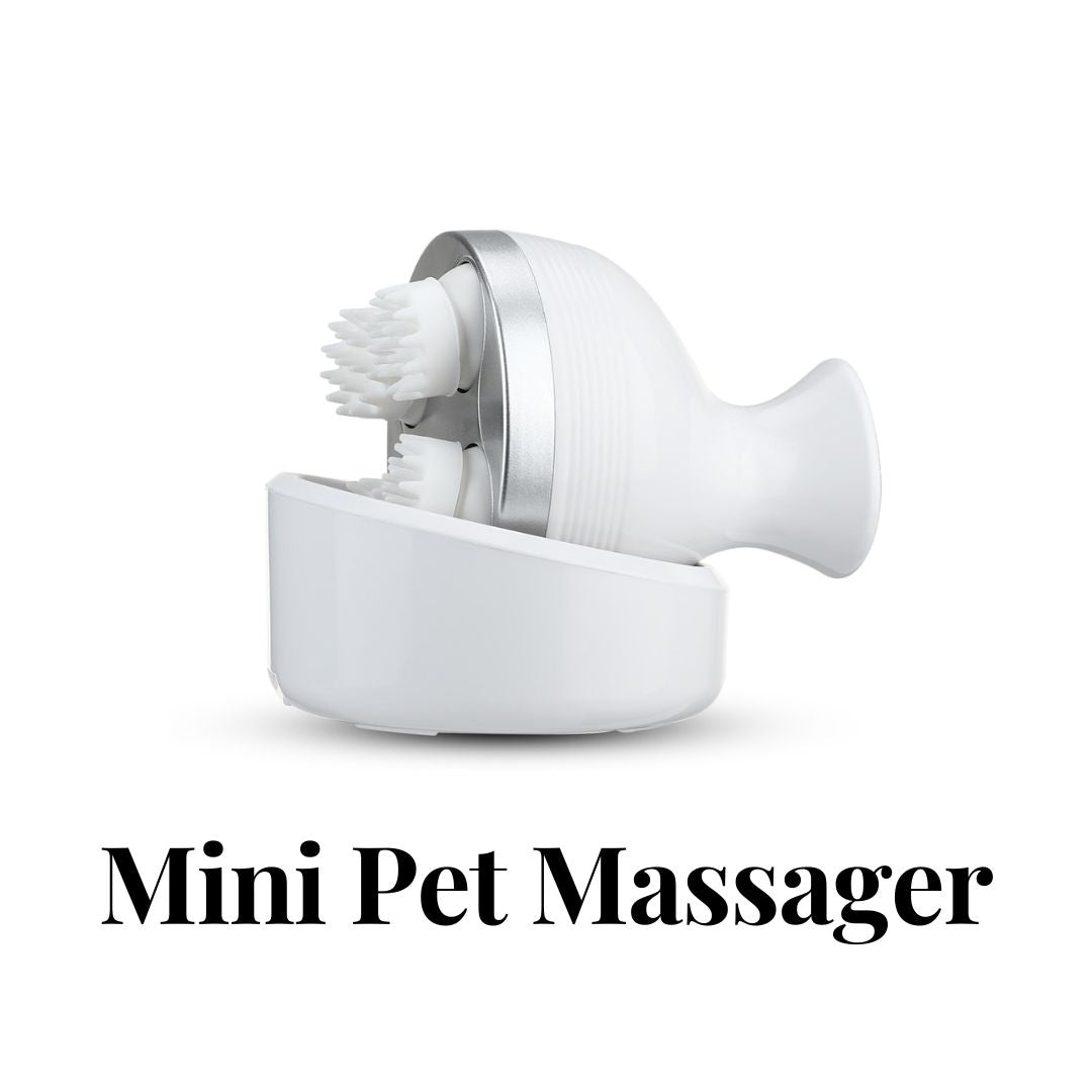 Mini Pet Massager