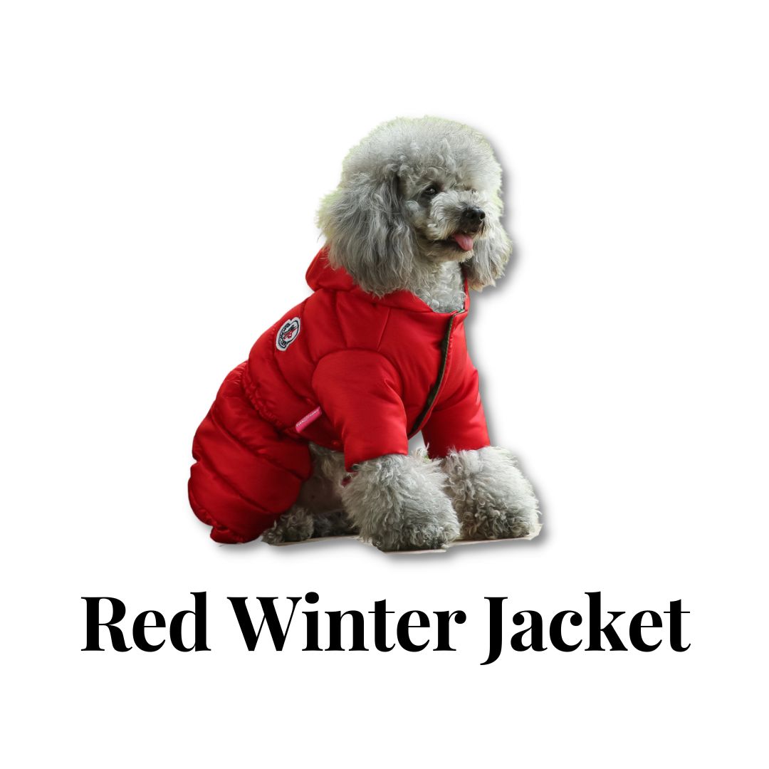 Red Winter Jacket