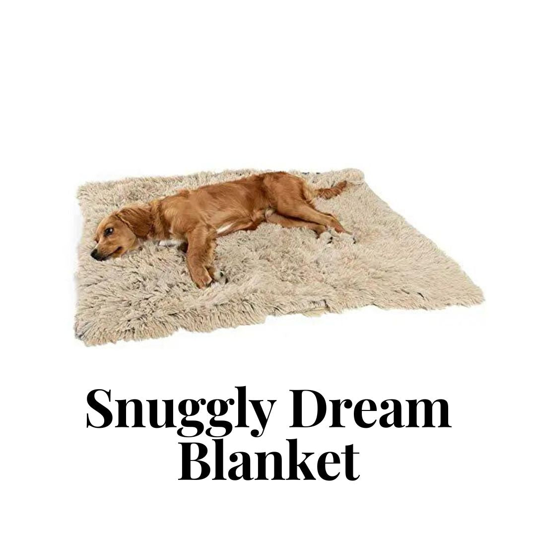 Snuggly Dream Blanket