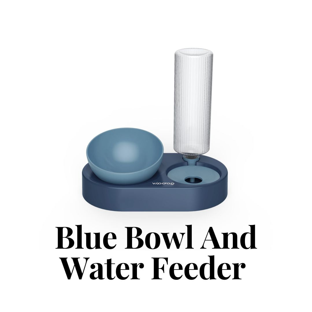 Pet Bowl and Water Feeder in Blue