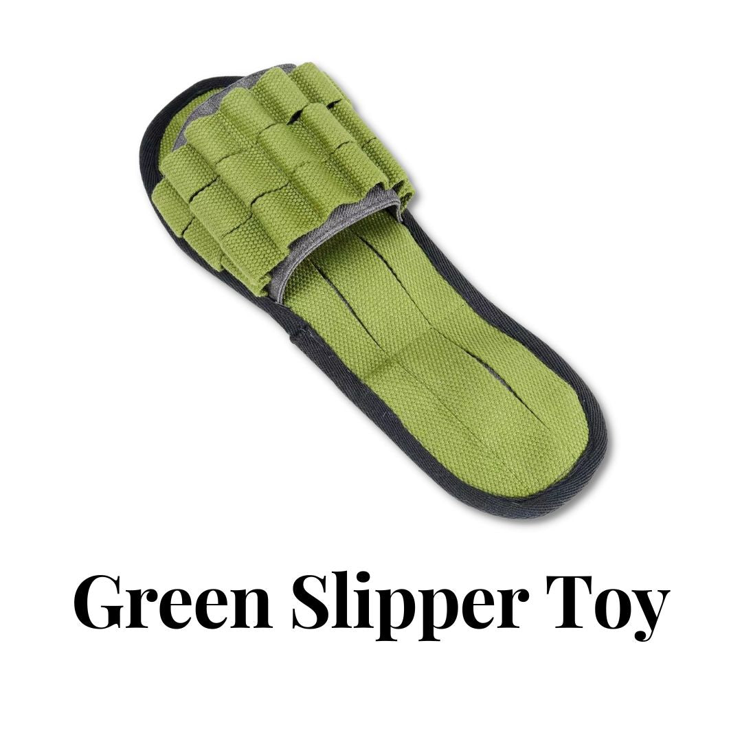 Green Slipper Toy