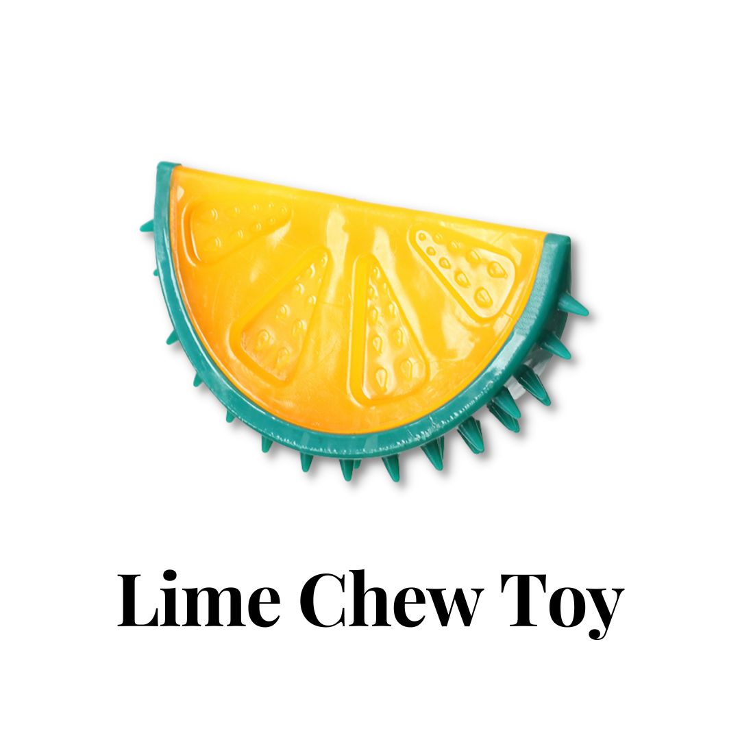 Lime Chew Toy