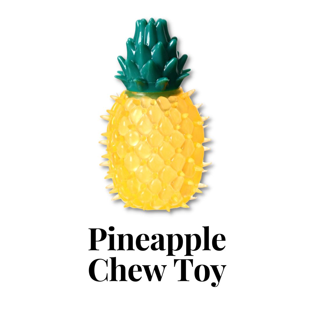 Pineapple Chew Toy