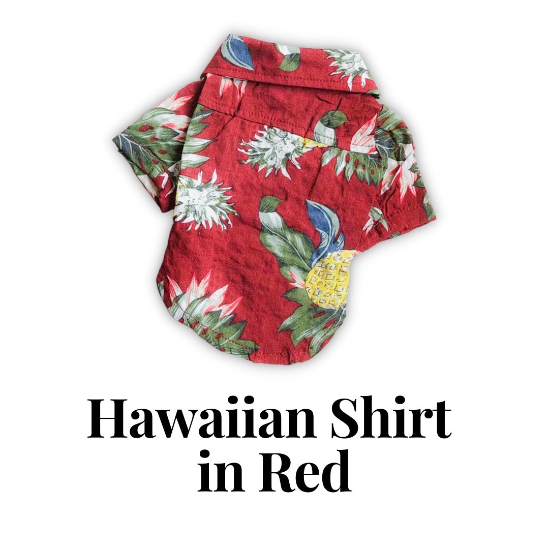 Hawaiian Shirt in Red