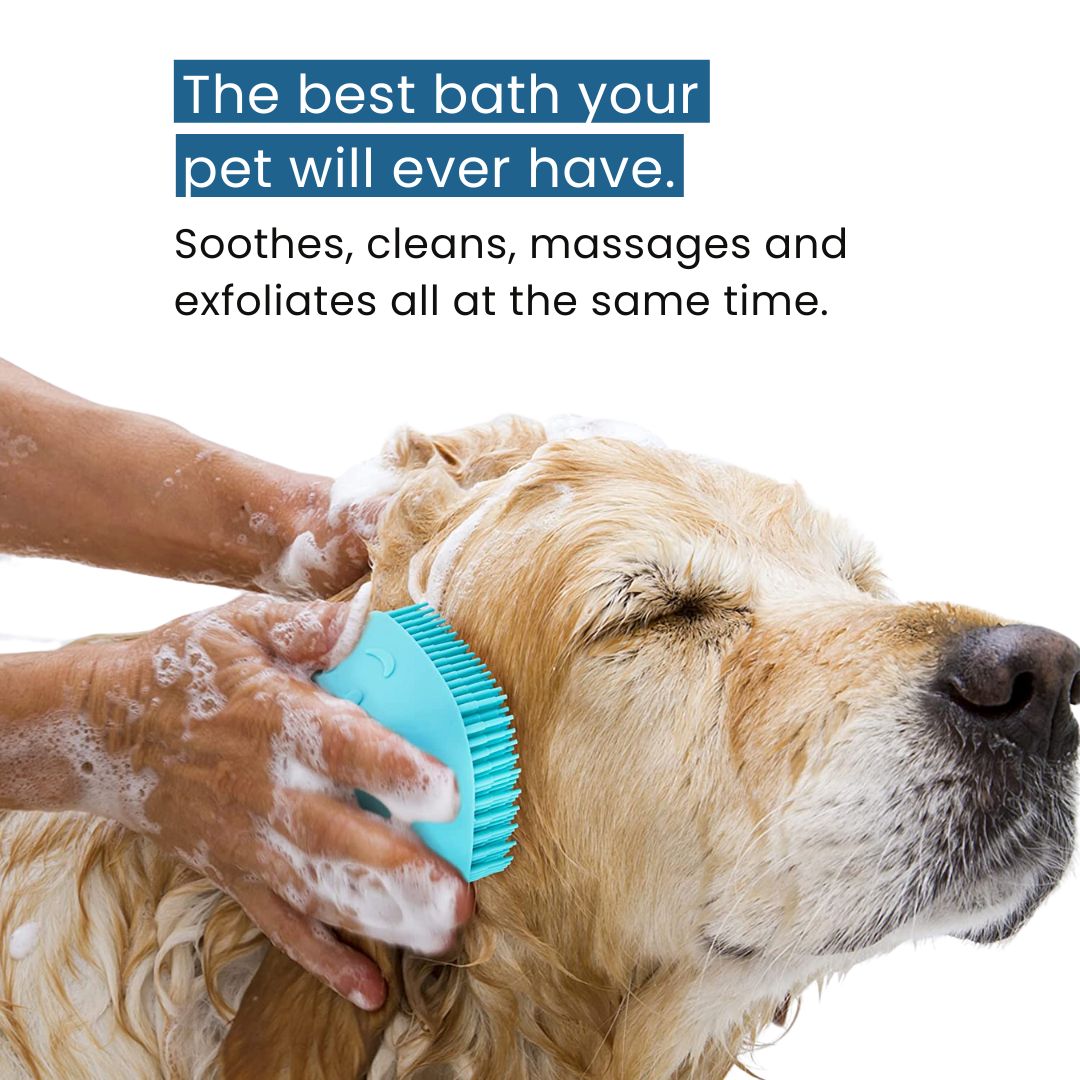 Silicone Bath Brush & Shampoo Dispenser