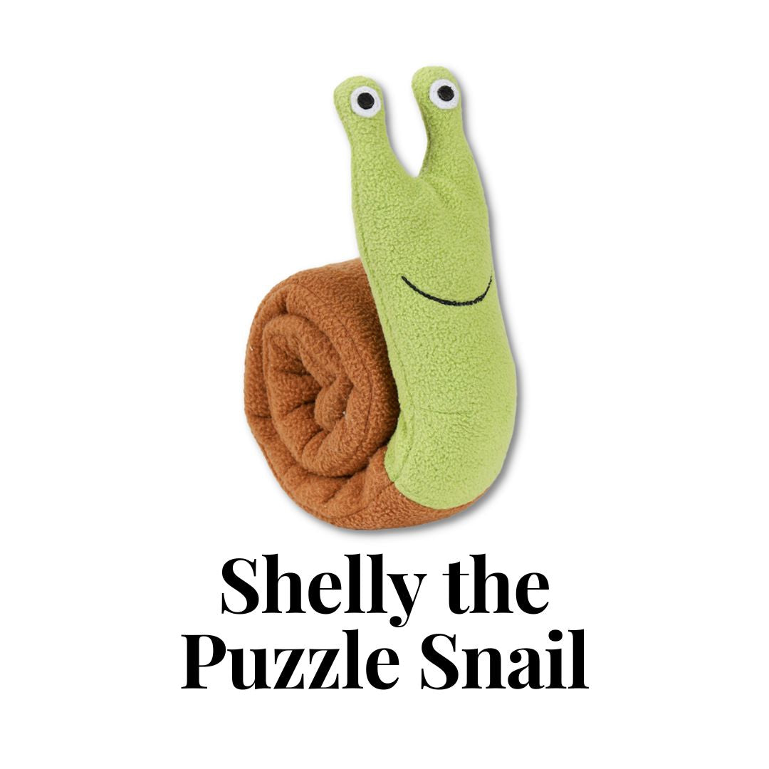 Shelly the Puzzle Snail
