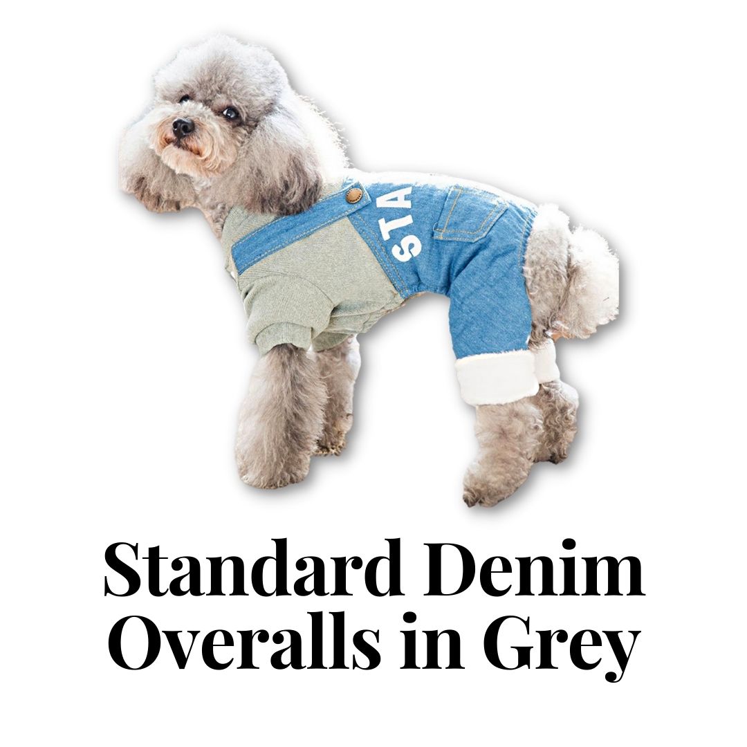 Standard Denim Overalls in Grey