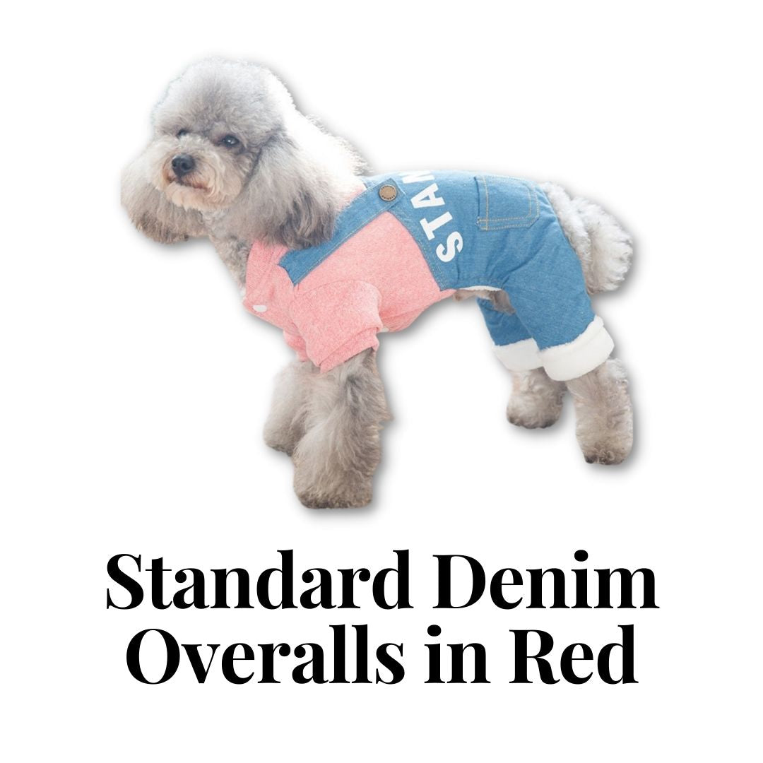 Standard Denim Overalls in Red