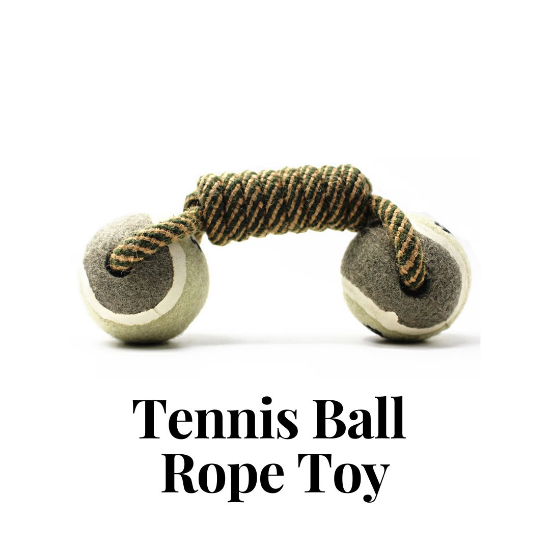 Tennis Ball Rope Toy