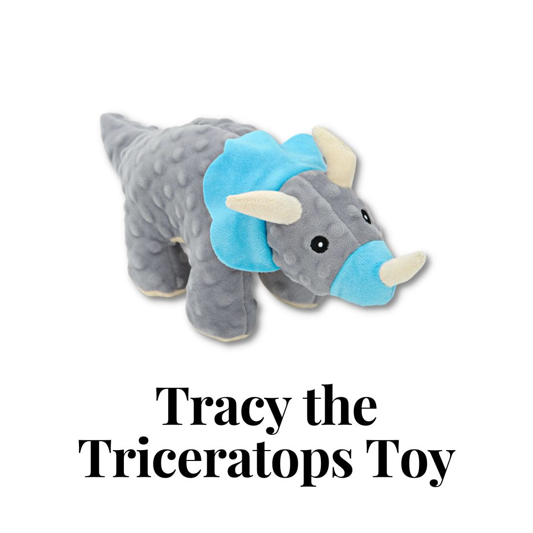 Tracy the Triceratops Toy