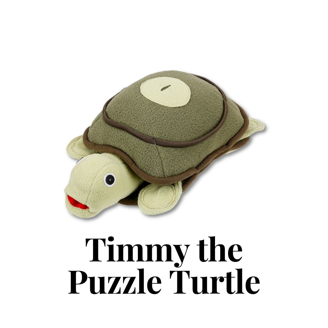Timmy the Puzzle Turtle