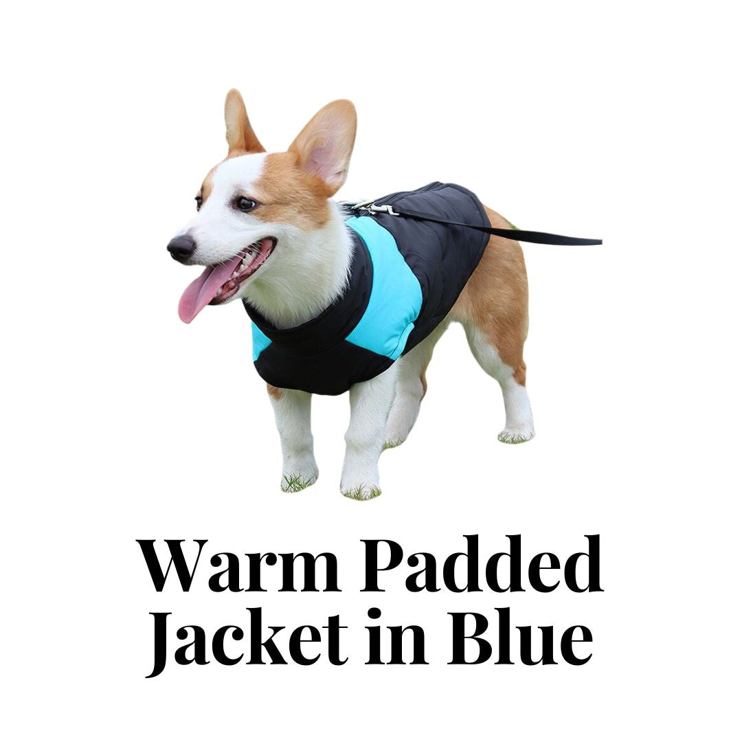 Warm Padded Jacket in Blue