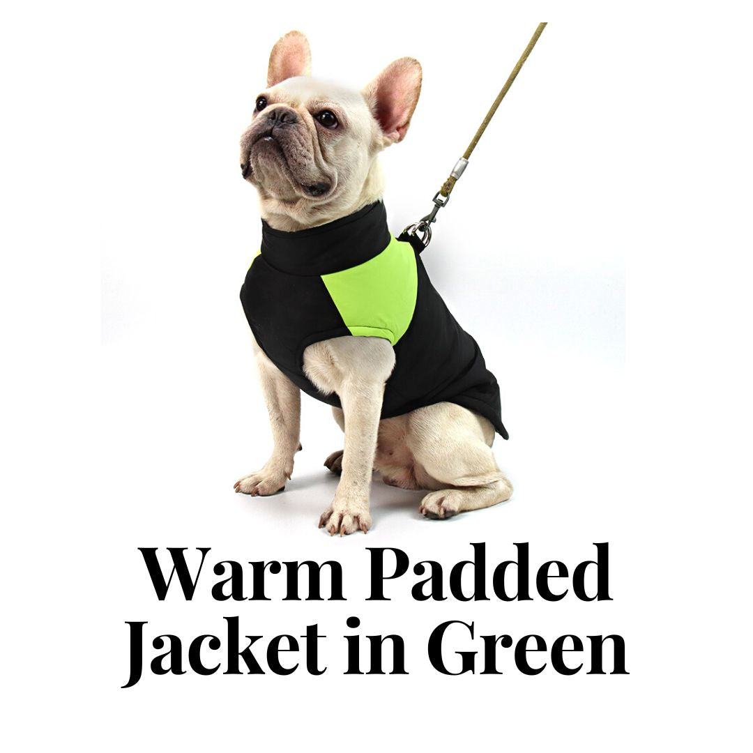 Warm Padded Jacket in Green