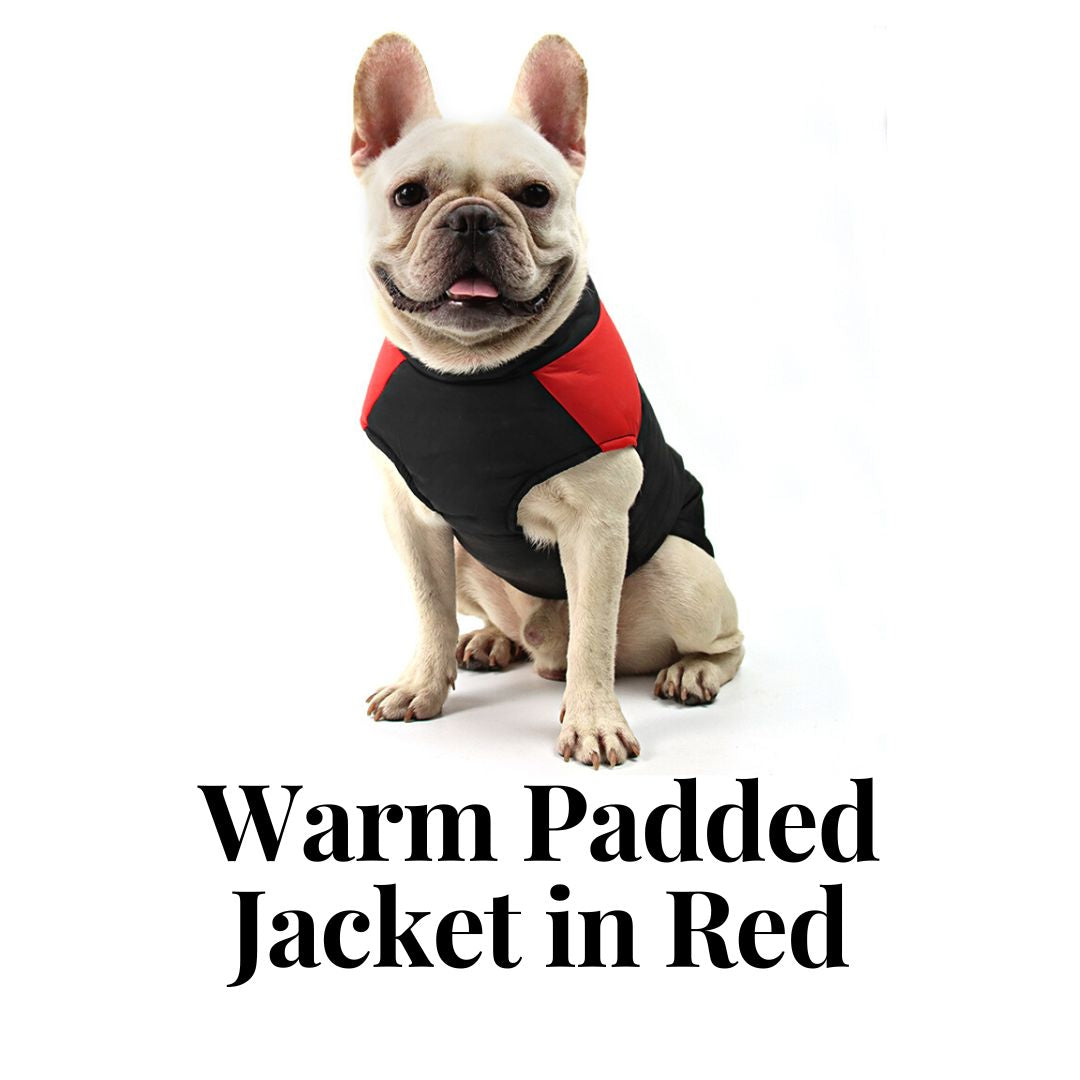 Warm Padded Jacket in Red
