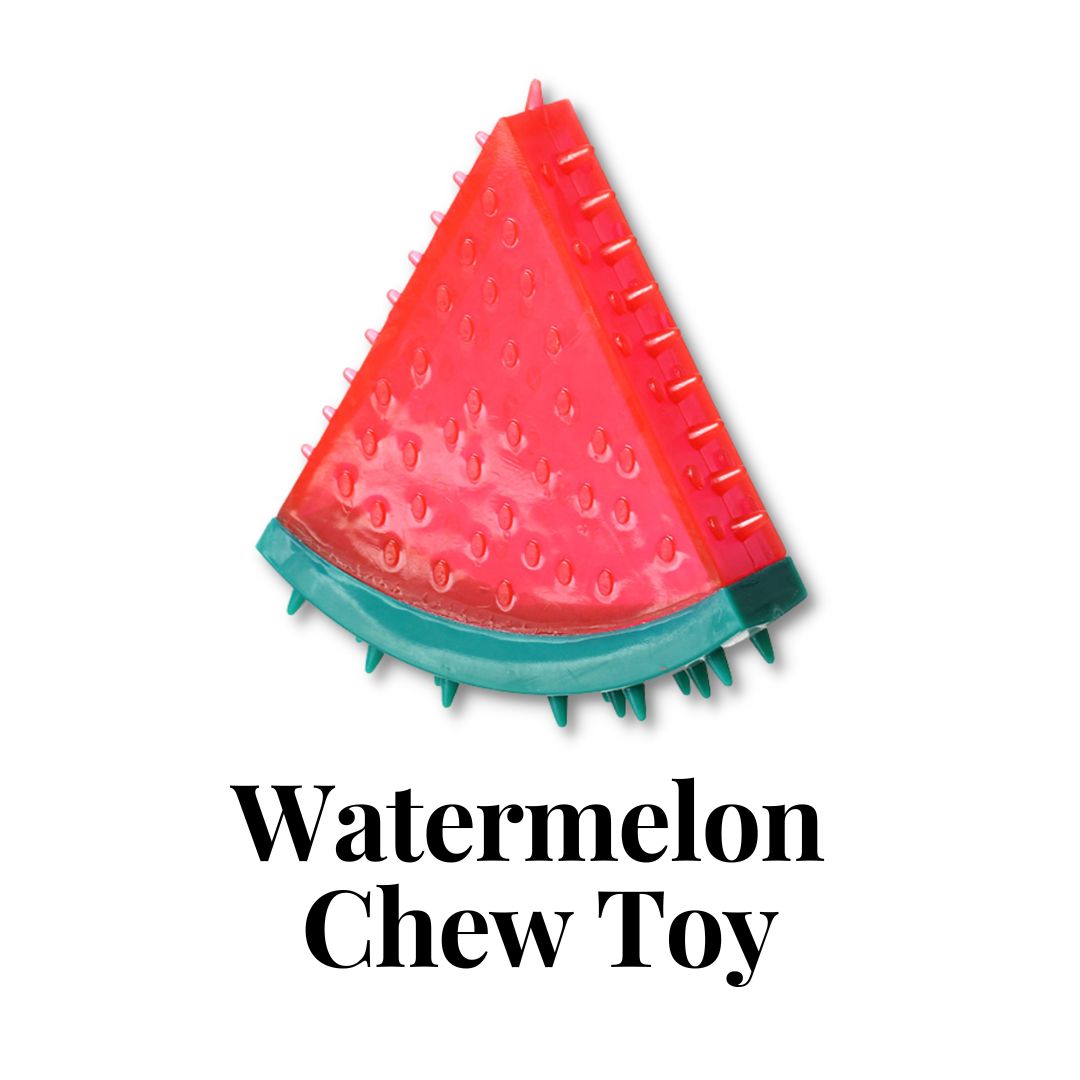 Watermelon Chew Toy