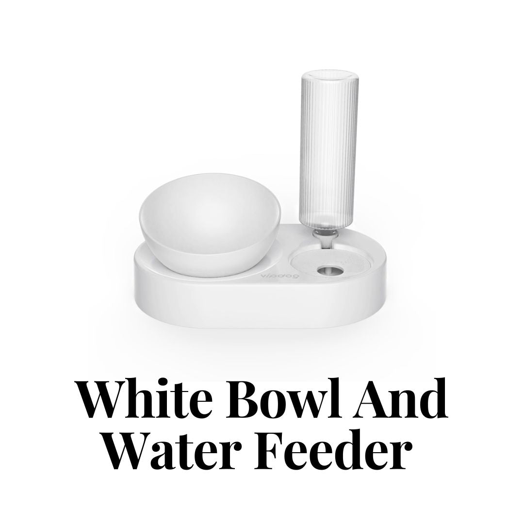 Pet Bowl and Water Feeder in White