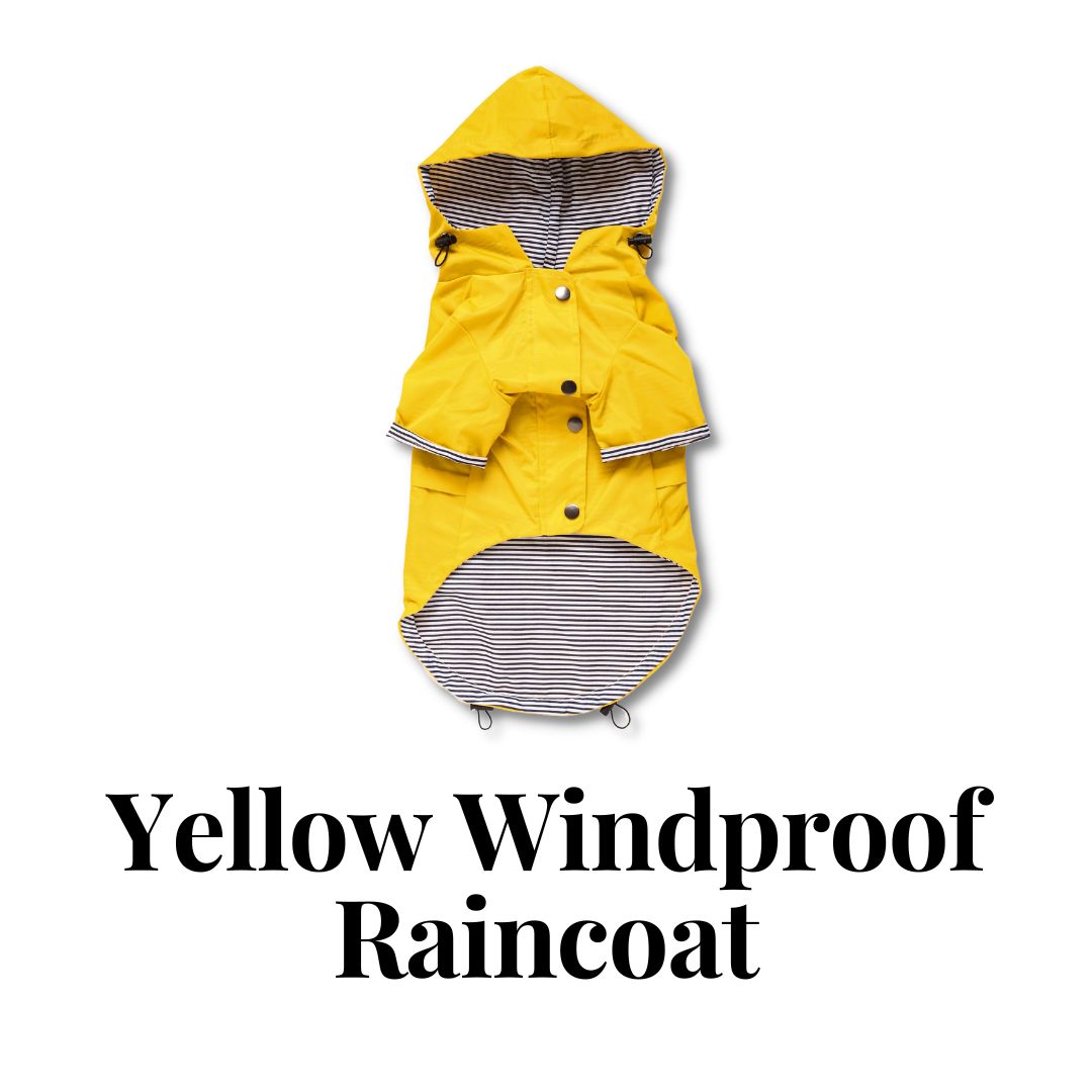 Yellow Windproof Raincoat